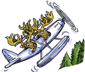 Moose over a mountain