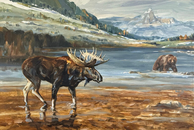 Large moose and Grizzly face off over lake possession in Yellowstone